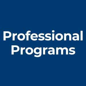 Graphic for ICDL Professional Programs category